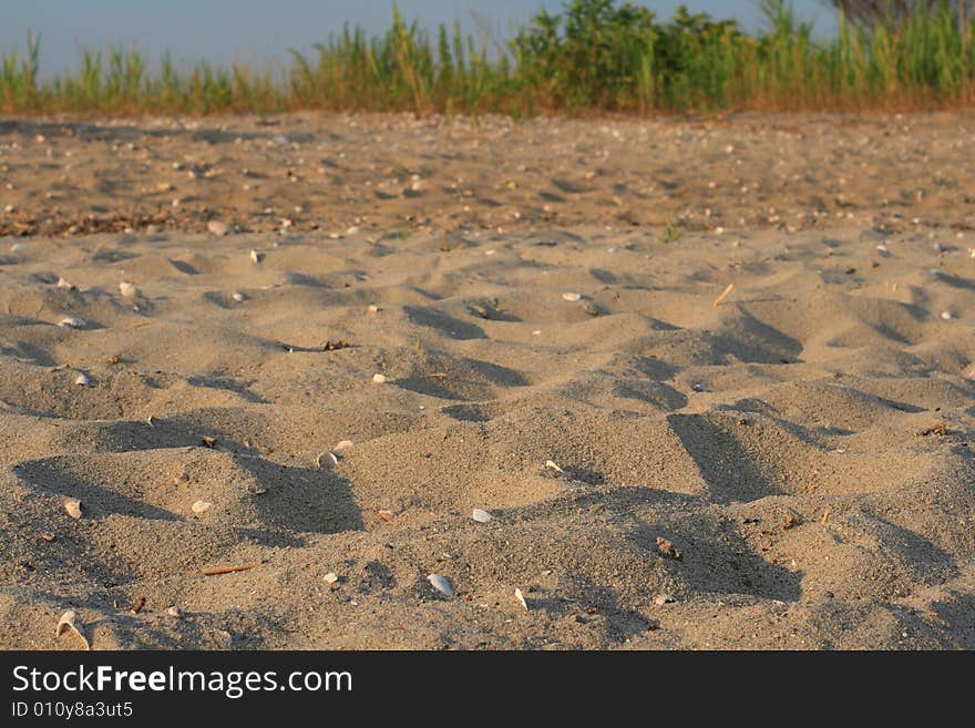 Waves of sand in this natural beach area. Waves of sand in this natural beach area.