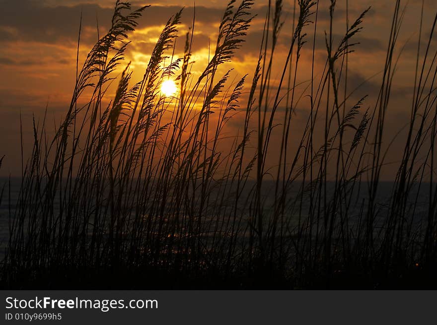 A picture of beach scene at dawn. A picture of beach scene at dawn