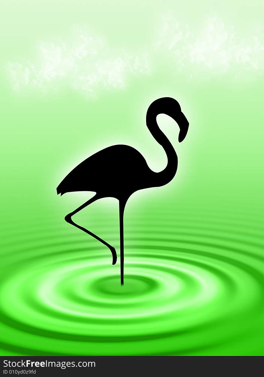 Flamingo bird in the water ripple. Flamingo bird in the water ripple