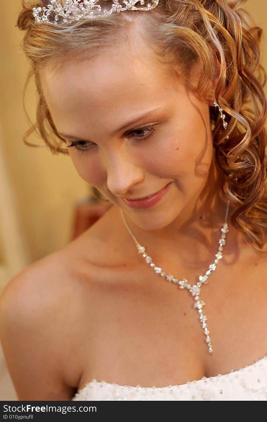 A bride on her wedding day