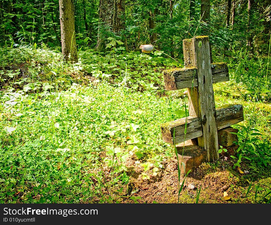 Abandoned cemetery in the woods. Abandoned cemetery in the woods