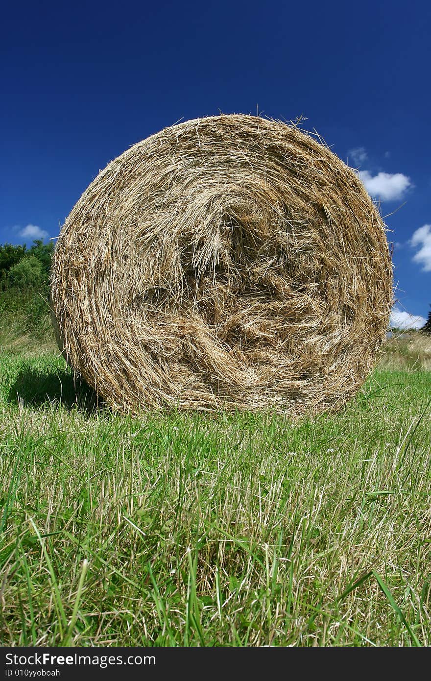 A hay bale in a field.