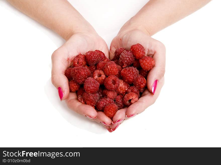 Whole Palms Of Raspberries