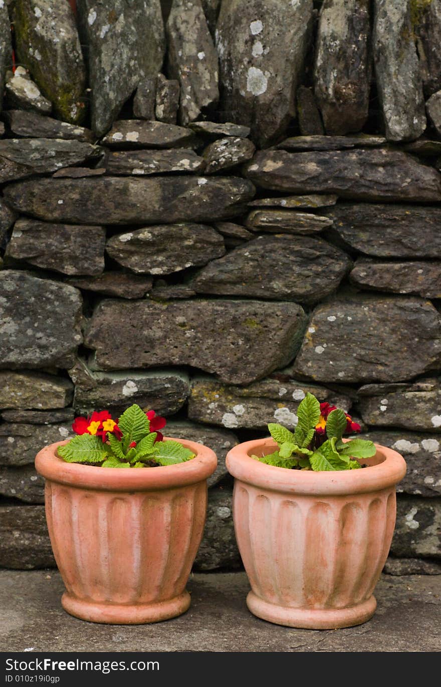 Flowers ceramic containers