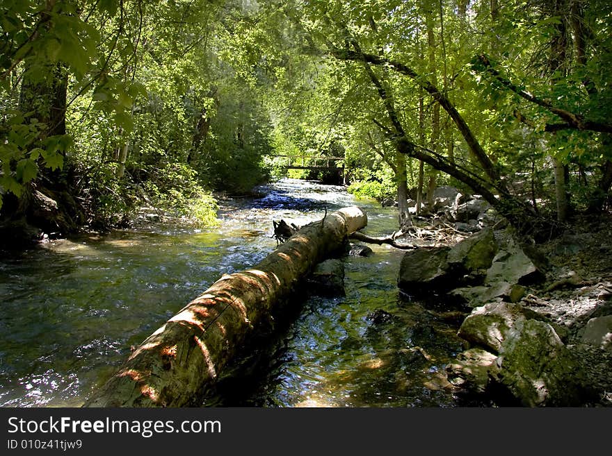 Mountain Stream