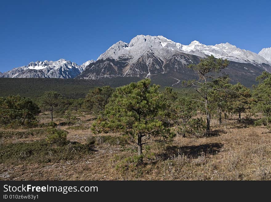 Shangri-La, famed as one of China's most naturally beautiful areas, now has the added honor of holding China's first national park, the 2,000-square-km Potatso National Park which was inaugurated in Yunnan Province Its diverse sceneries include crystal-clear lakes, undulating mountains and gurgling streams, making it a clear choice to become the country's first national park. Shangri-La, famed as one of China's most naturally beautiful areas, now has the added honor of holding China's first national park, the 2,000-square-km Potatso National Park which was inaugurated in Yunnan Province Its diverse sceneries include crystal-clear lakes, undulating mountains and gurgling streams, making it a clear choice to become the country's first national park.