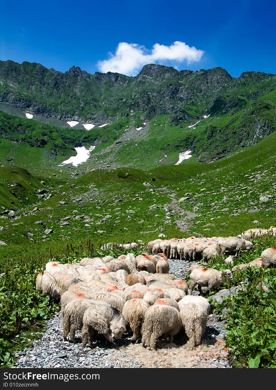 Alpine road in Fagaras mountains (Capra valley). Alpine road in Fagaras mountains (Capra valley).