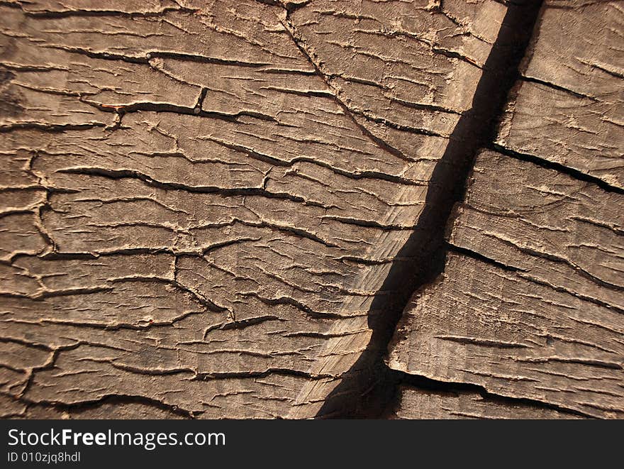 Wooden Texture