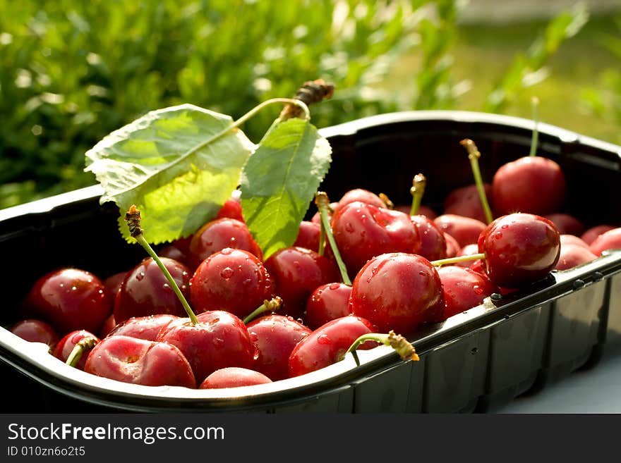 Sweet cherry in a plastic bowl