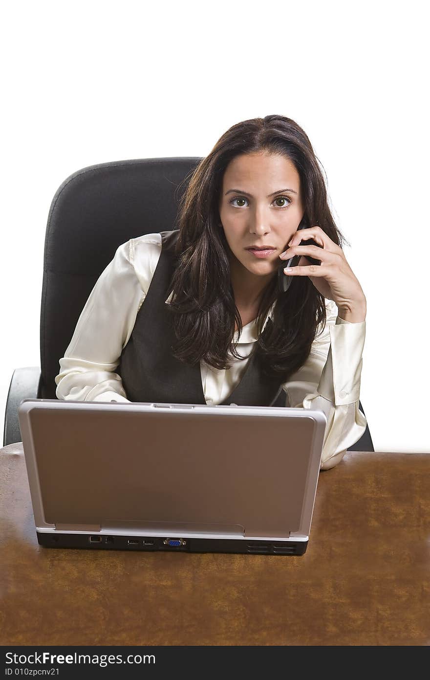 Attractive female executive in business appropriate pose