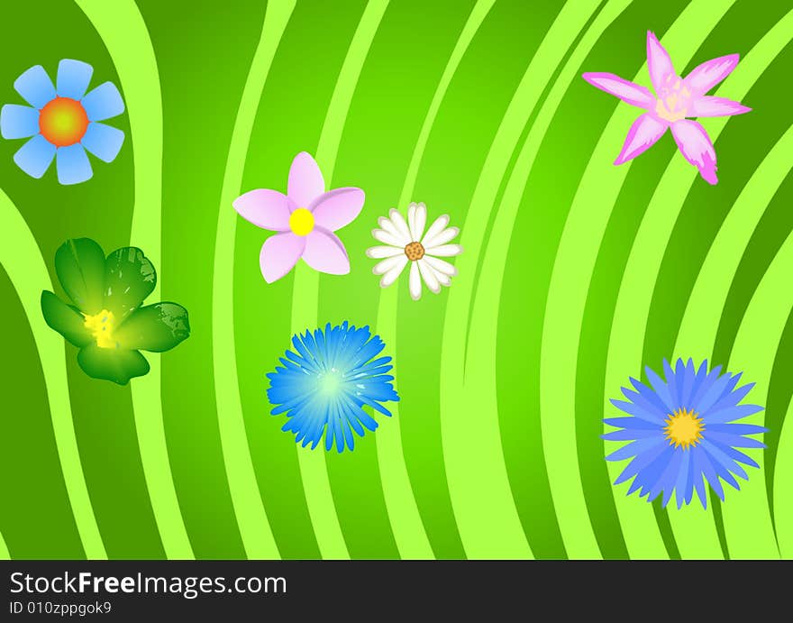 Some flowers on green background