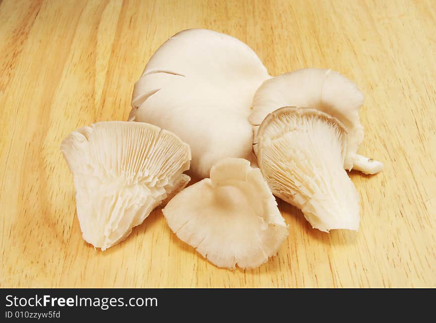 Oyster mushrooms