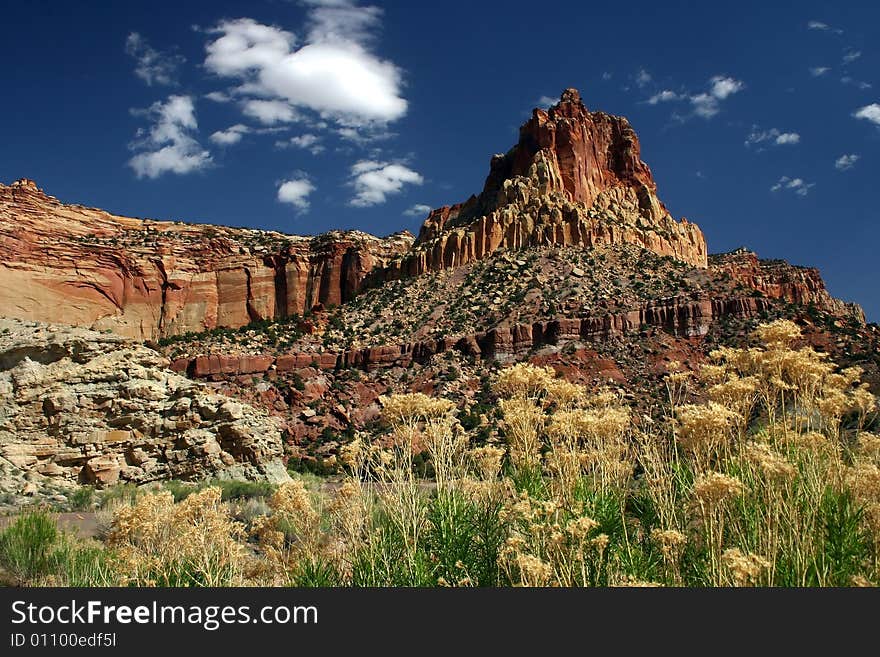 A Zion National Park landscape