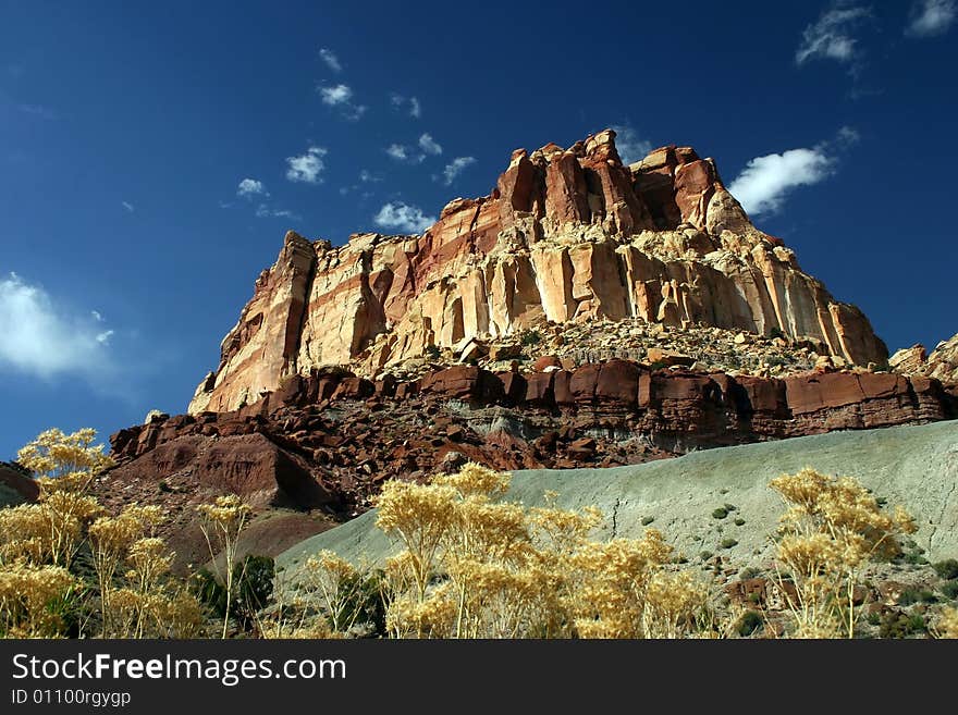 A Zion National Park landscape