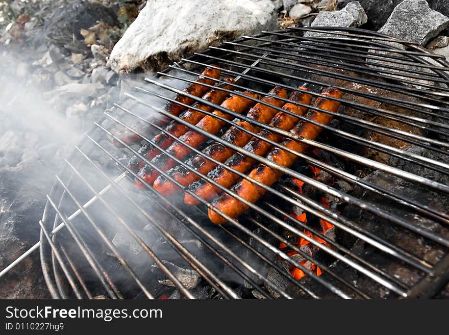 Meat on grill above campfire. Meat on grill above campfire