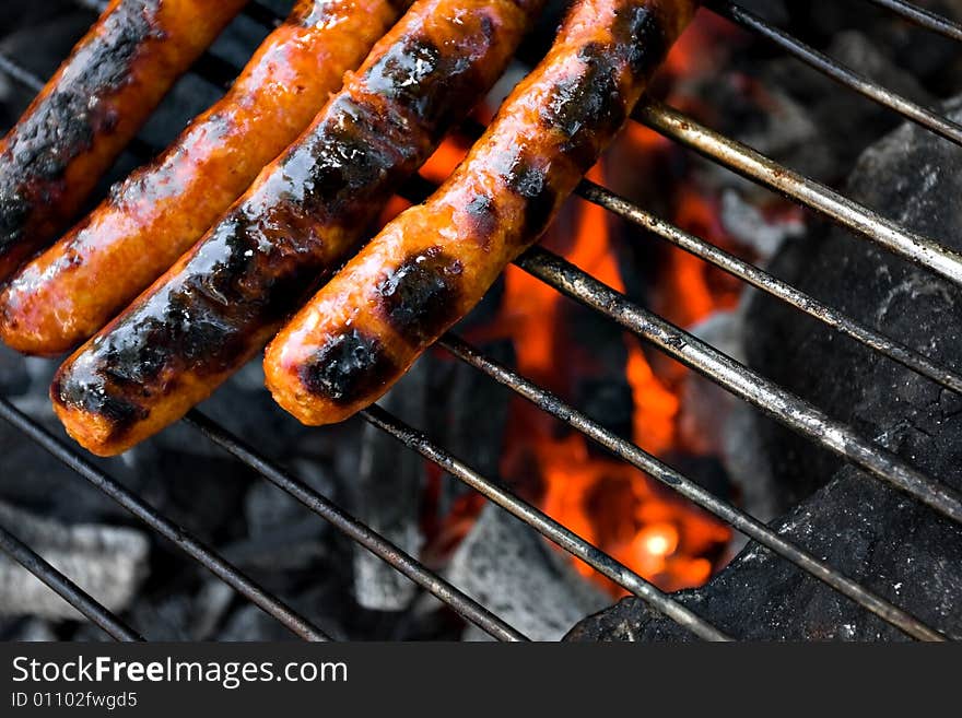 Meat on grill above campfire. Meat on grill above campfire