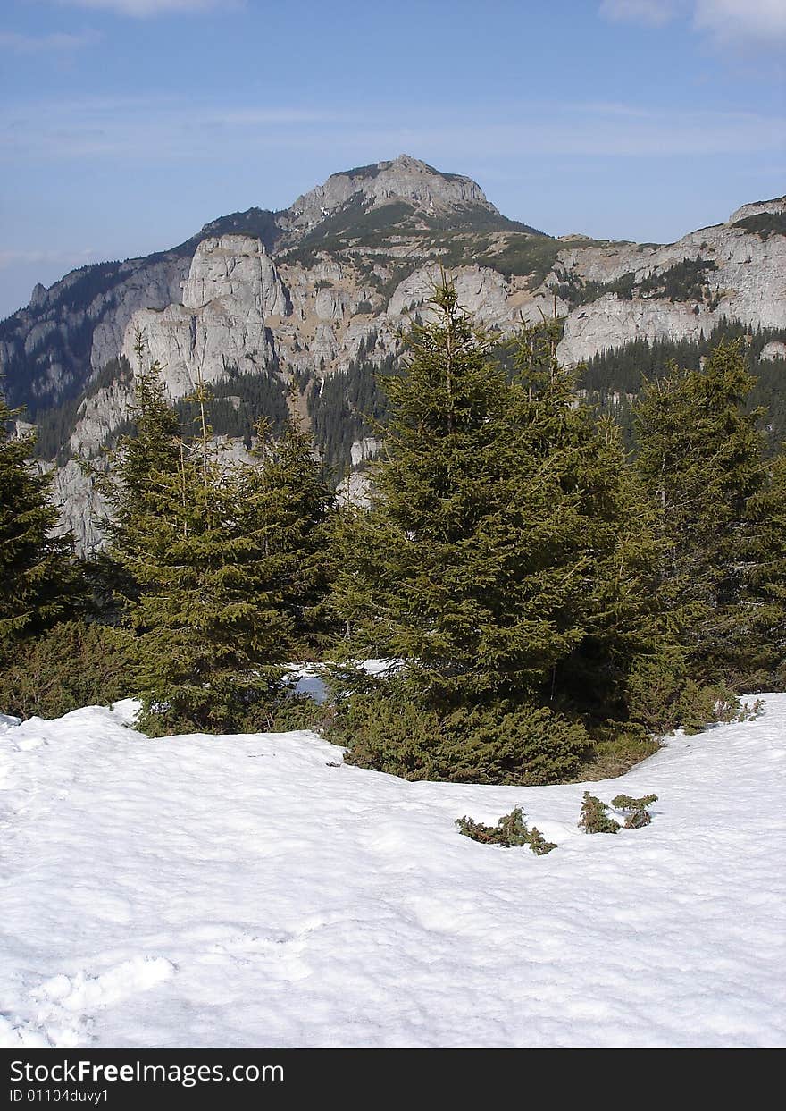 Mountain Landscape