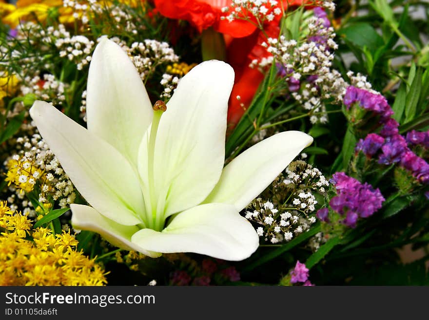 Close up of white lily in bouquet