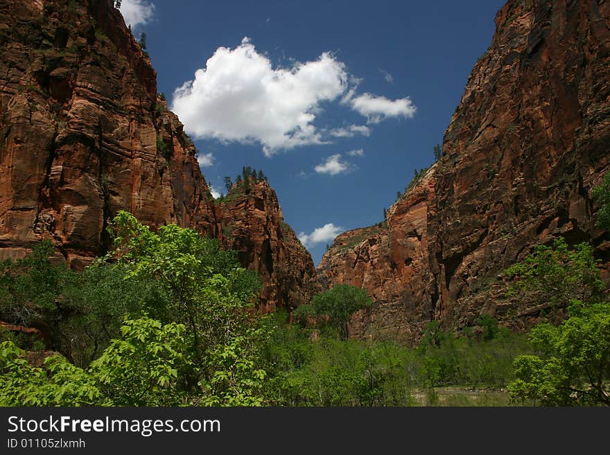 A Zion National Park landscape