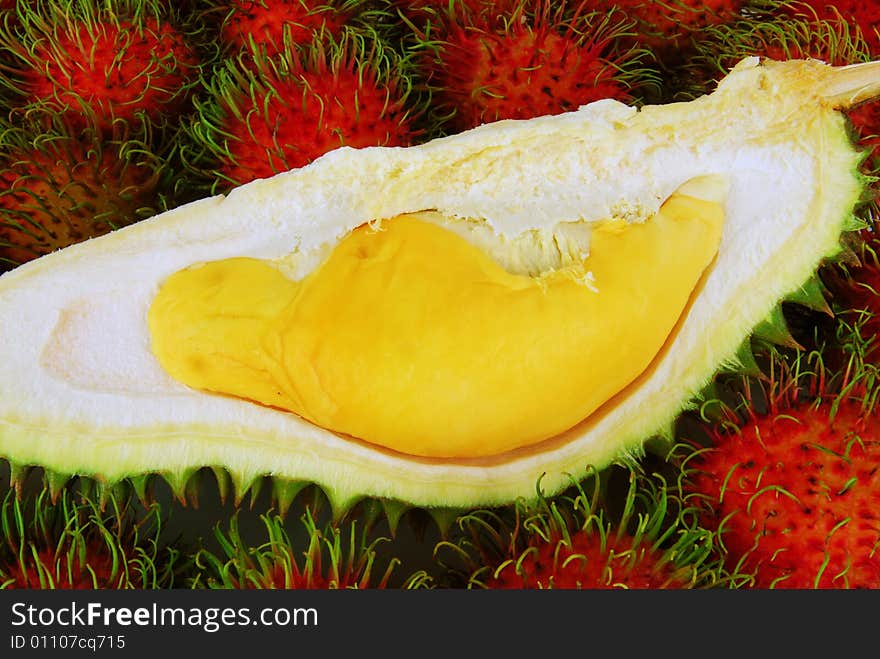 Tropical fruits - Durian on Rambutans background.