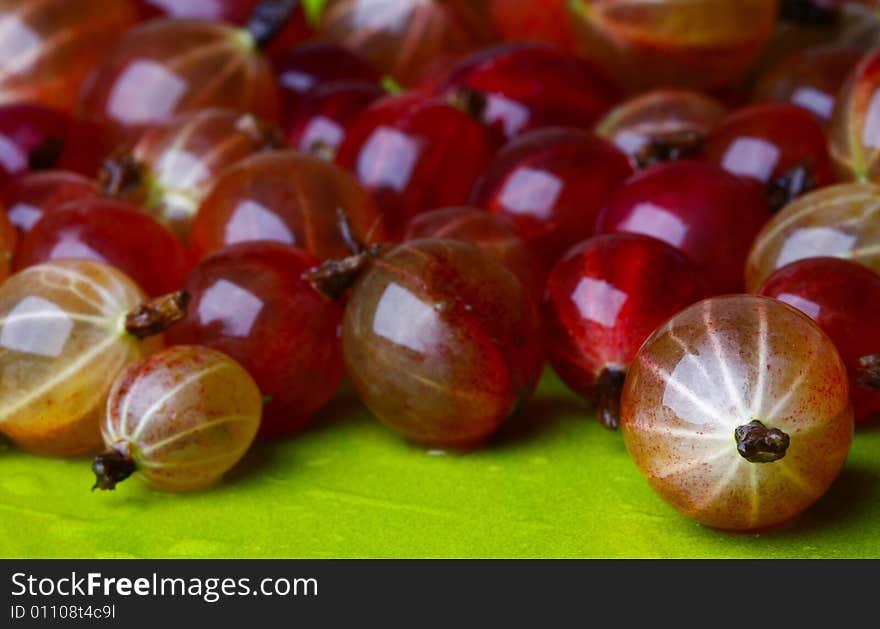 Red-ripe appetite and full of vitamenes gooseberry. Red-ripe appetite and full of vitamenes gooseberry