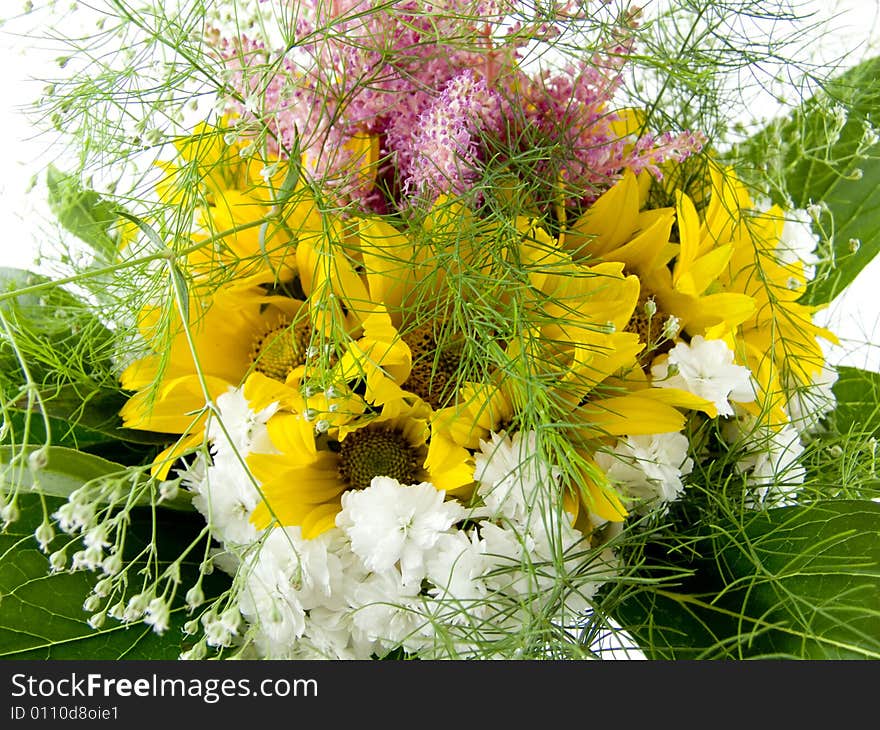 The colorful flowers isolated on white background