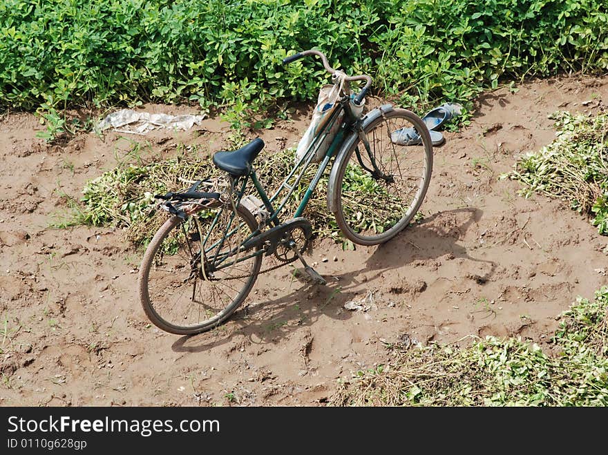 Old bicycle in the dirt