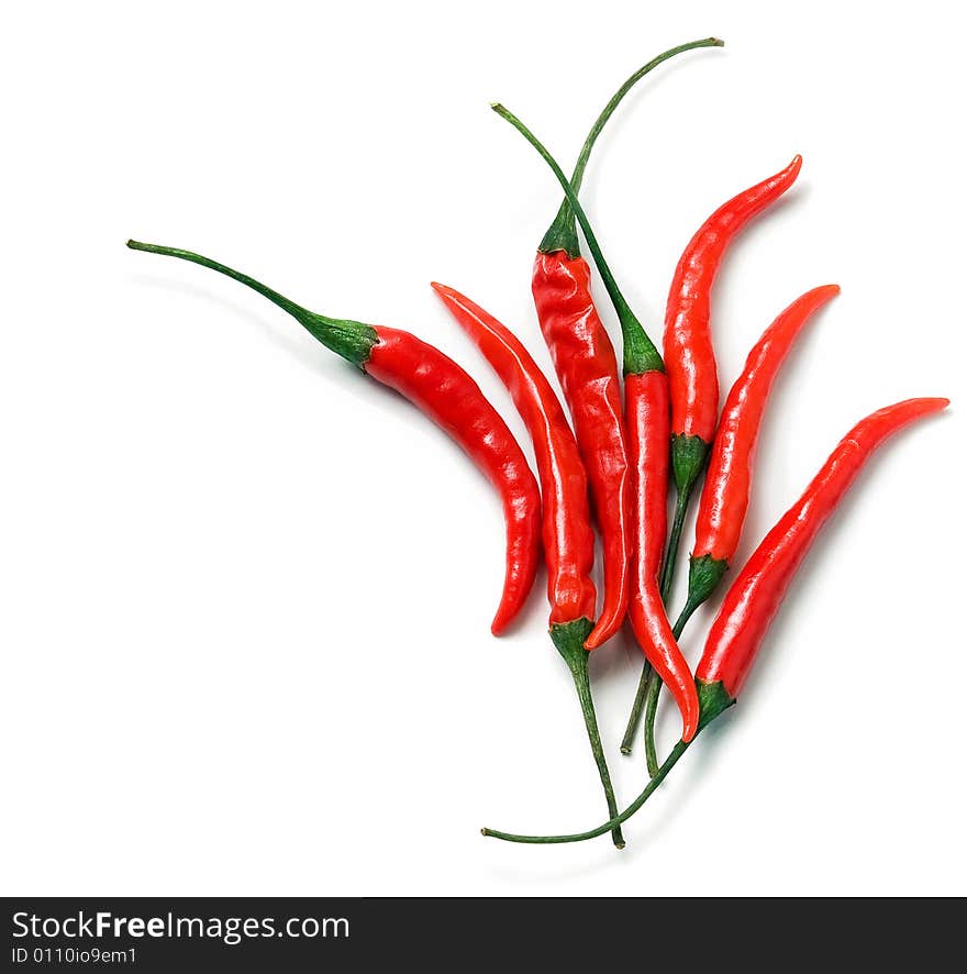 Hot peppers artfully arranged on white with light shadow. Hot peppers artfully arranged on white with light shadow