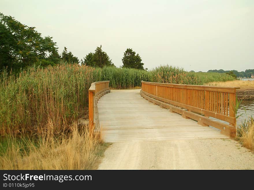 Wooden bridge in reeds over river. Wooden bridge in reeds over river