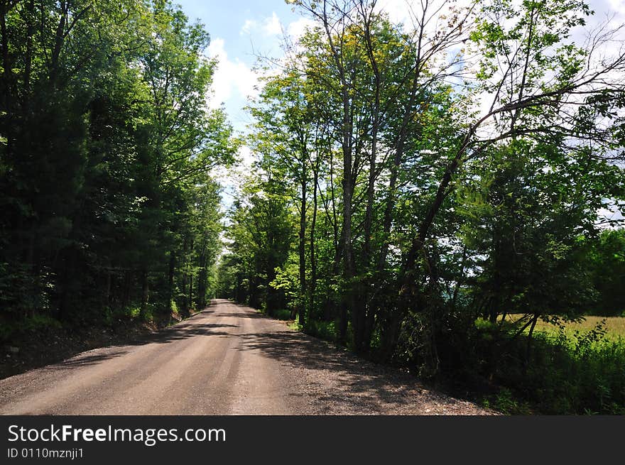 A dirt road curves off into the distance through a long avenue of tall, green trees. A dirt road curves off into the distance through a long avenue of tall, green trees.