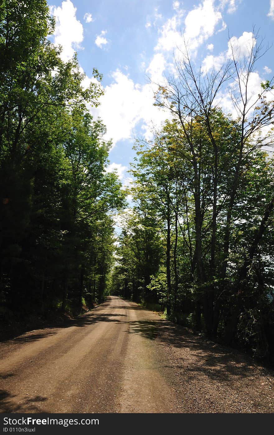 Leafy road - vertical