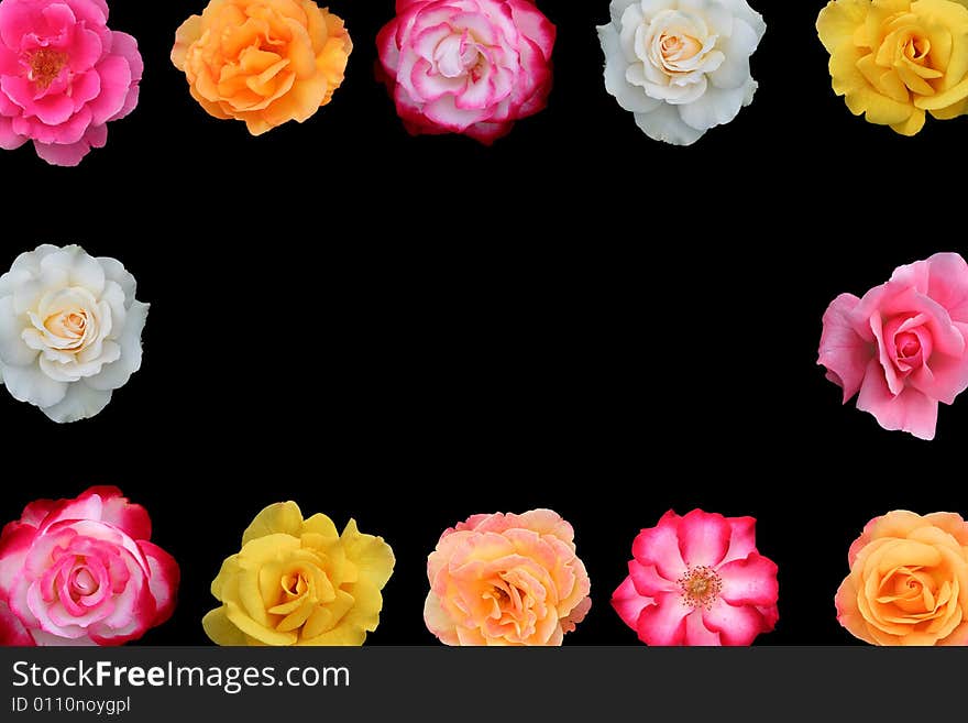 Collage Of Beautiful Rose Blossoms