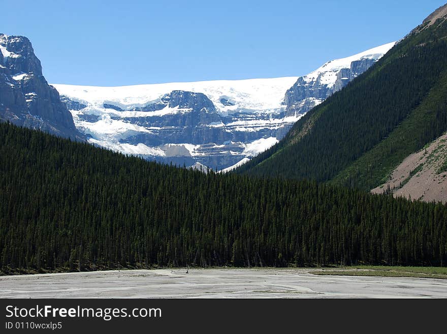 Ice lake, trees and snow covered mountain in Icefield National Park Alberta Canada. Ice lake, trees and snow covered mountain in Icefield National Park Alberta Canada