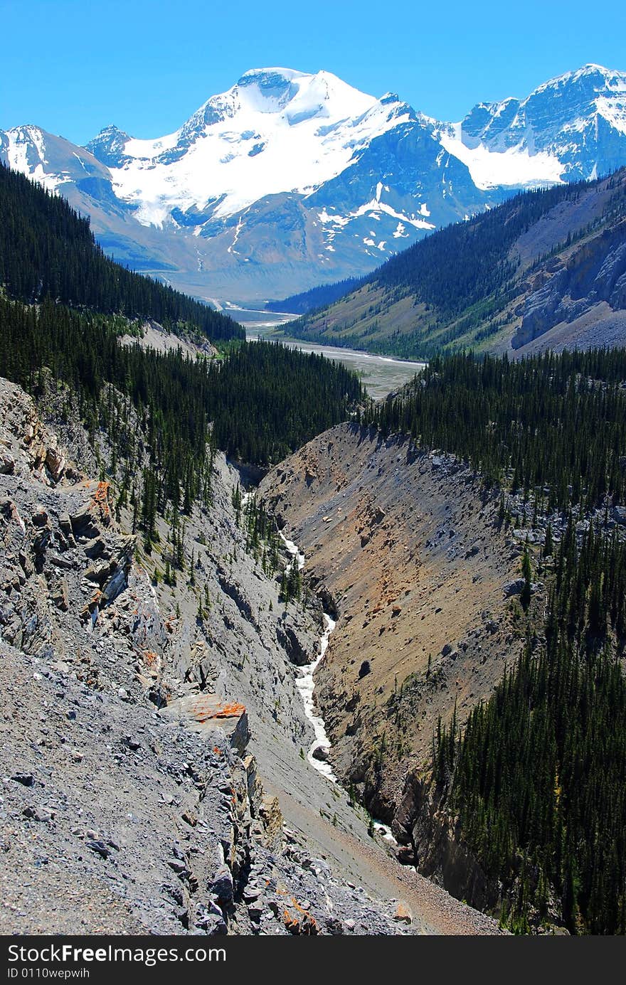 Snow mountain and deep canyons near Columbia Glacier in Rockies Icefield National Park