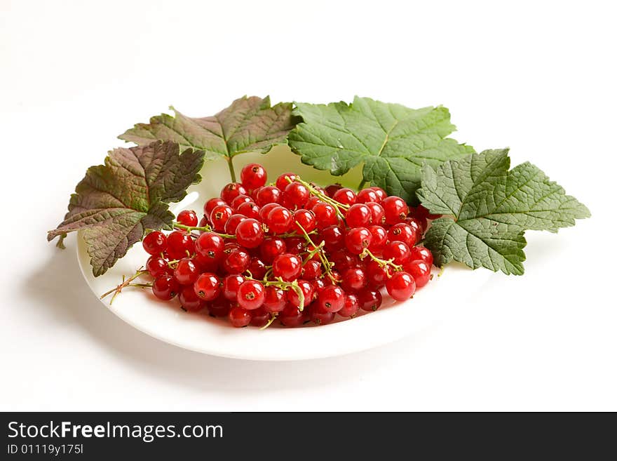 Plate of red currant