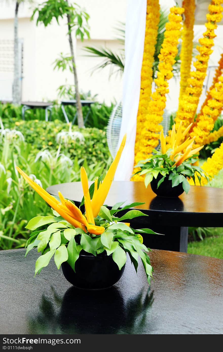 Vase of orange tropical flowers on a table.