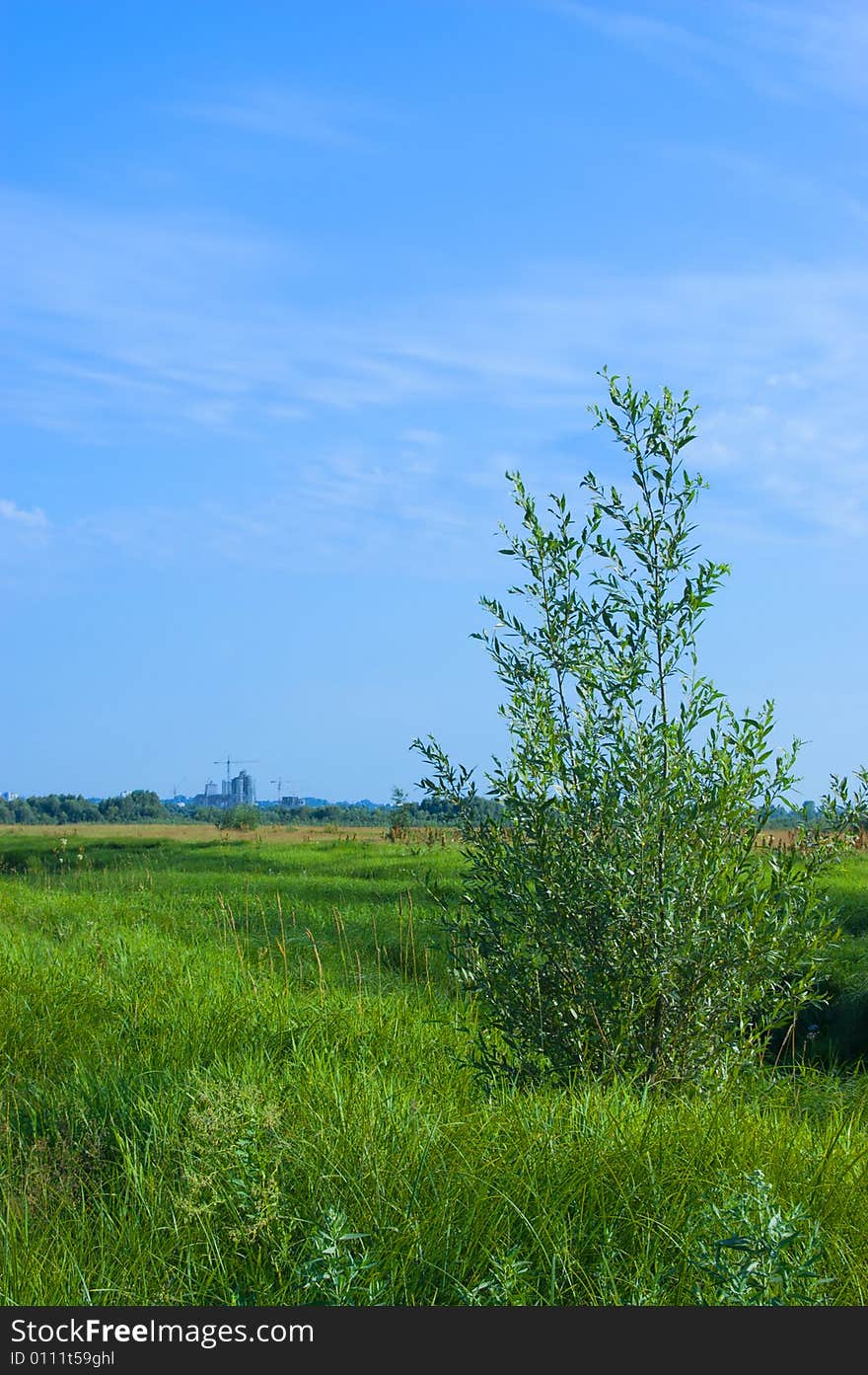 City Growing At A Distance