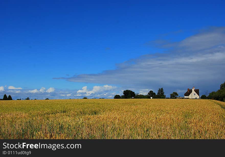 Summer In The Country