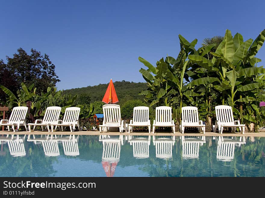 White sunloungers reflected in a blue swimming pool, next to an orange umbrella, with green palms in the background. White sunloungers reflected in a blue swimming pool, next to an orange umbrella, with green palms in the background