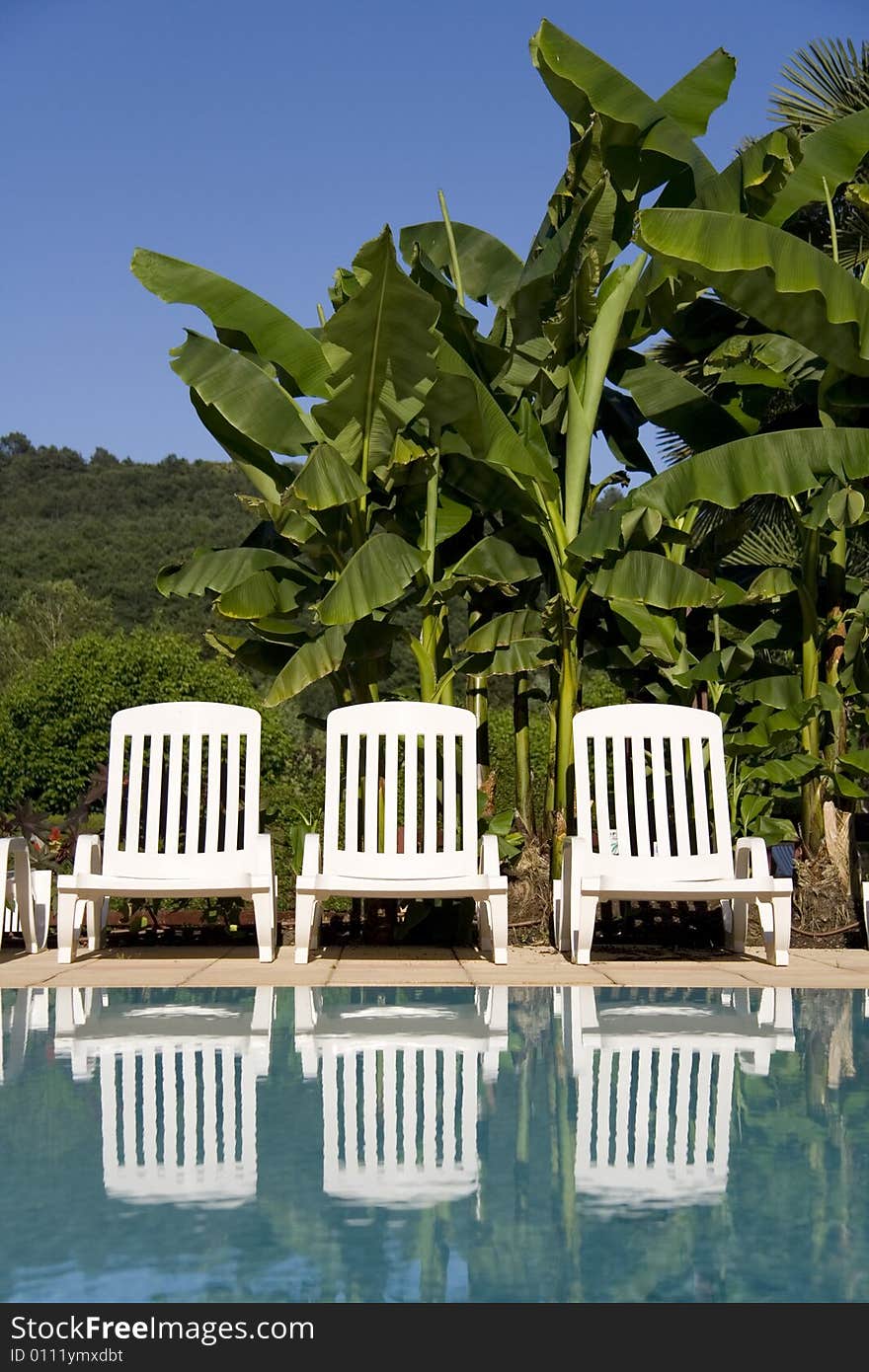 Three white sunloungers reflected in a blue swimming pool with gren palms in the background. Three white sunloungers reflected in a blue swimming pool with gren palms in the background