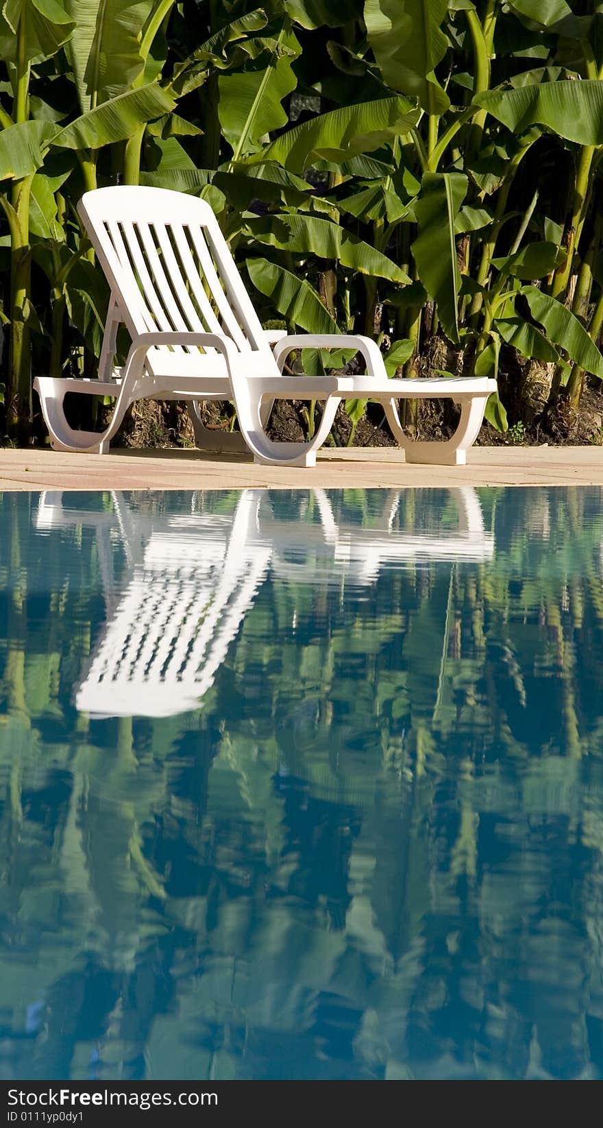 White sunlounger reflected in a blue swimming pool with green palms in the background. White sunlounger reflected in a blue swimming pool with green palms in the background