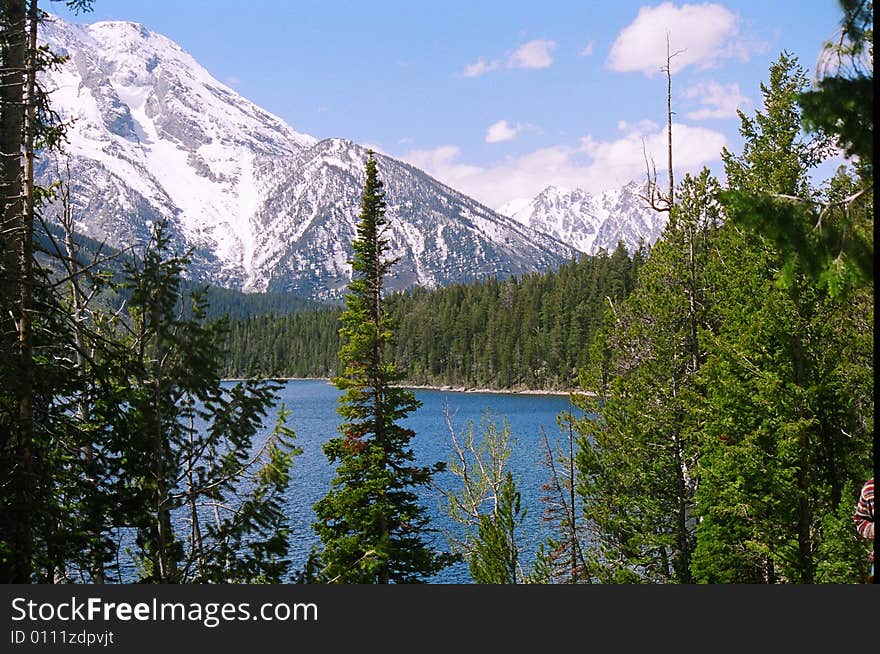 The Grand Teton Mt/ Lake Jenny