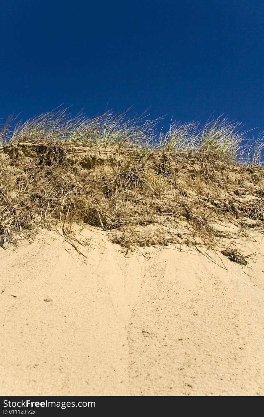 Grassy sand dunes