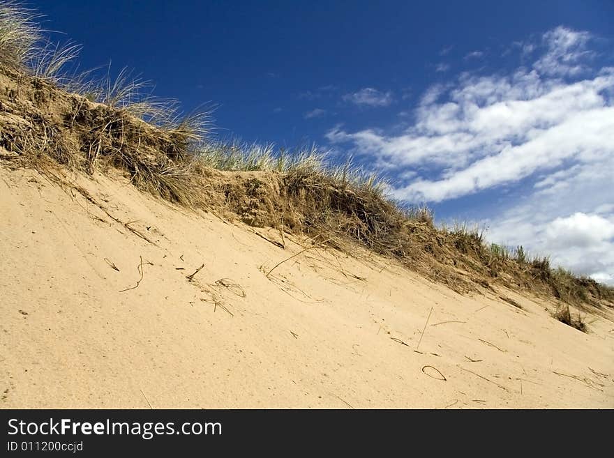 Grassy Sand Dunes