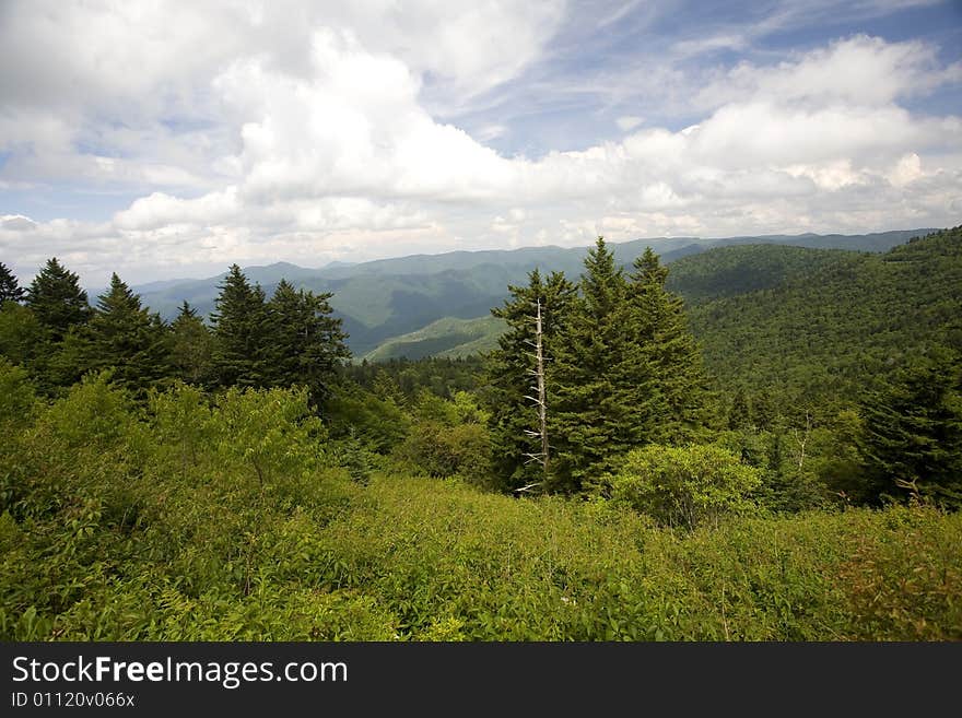 Blue Ridge Parkway View