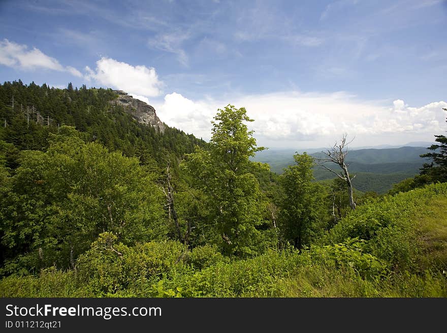 Blue Ridge Parkway View