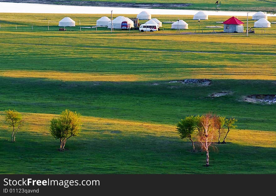 Meadow At Dawn