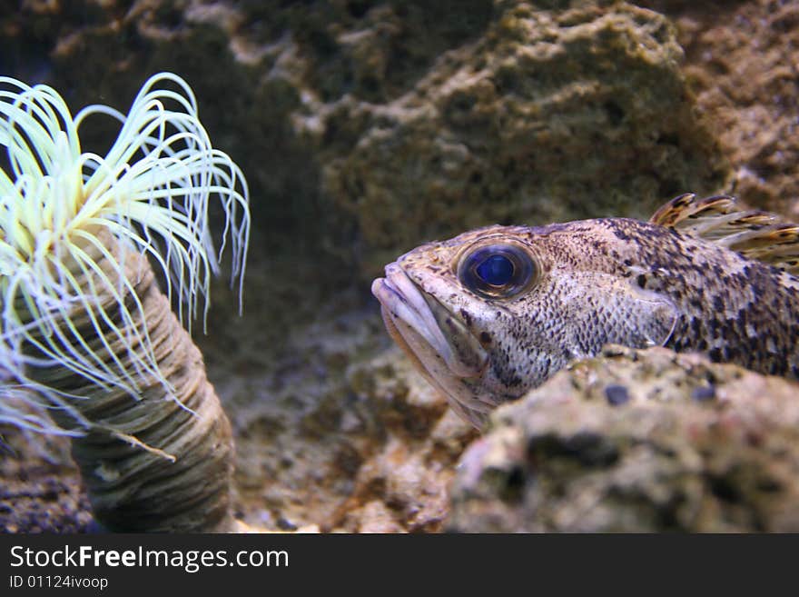 Deep water of Mediterranean sea. Deep water of Mediterranean sea