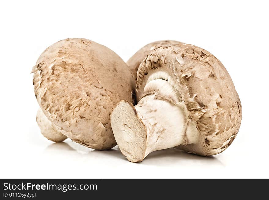 Champignons (agaricus bisporus)  isolated on white background, studio shot.