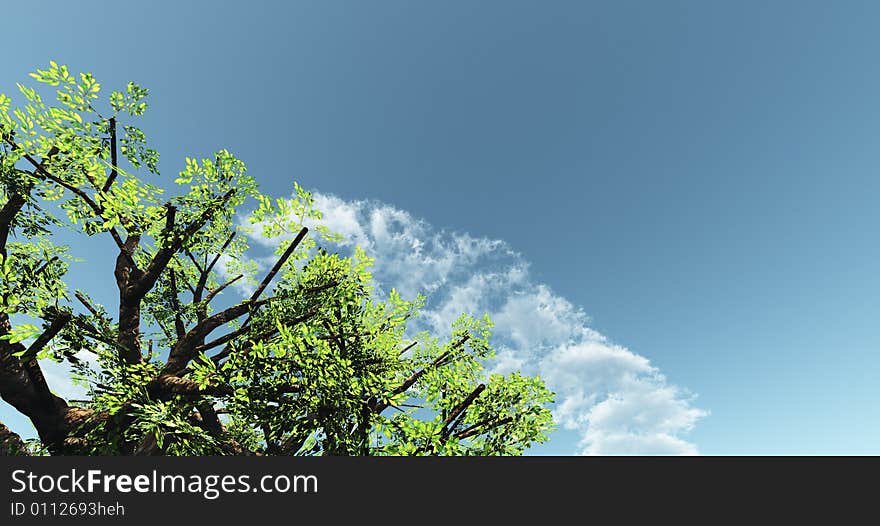 Beautiful cloudscape